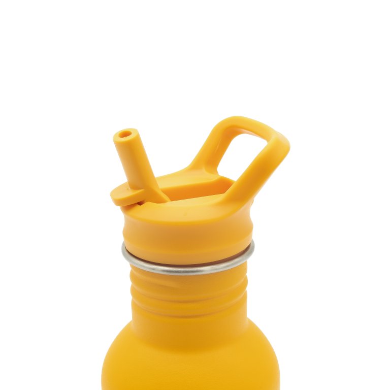 BORRACCIA 500 ML –  IL LEONE