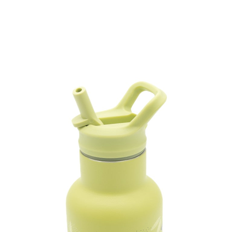 Borraccia termica in acciaio inox da 350 ml - Dinosauro Cracky